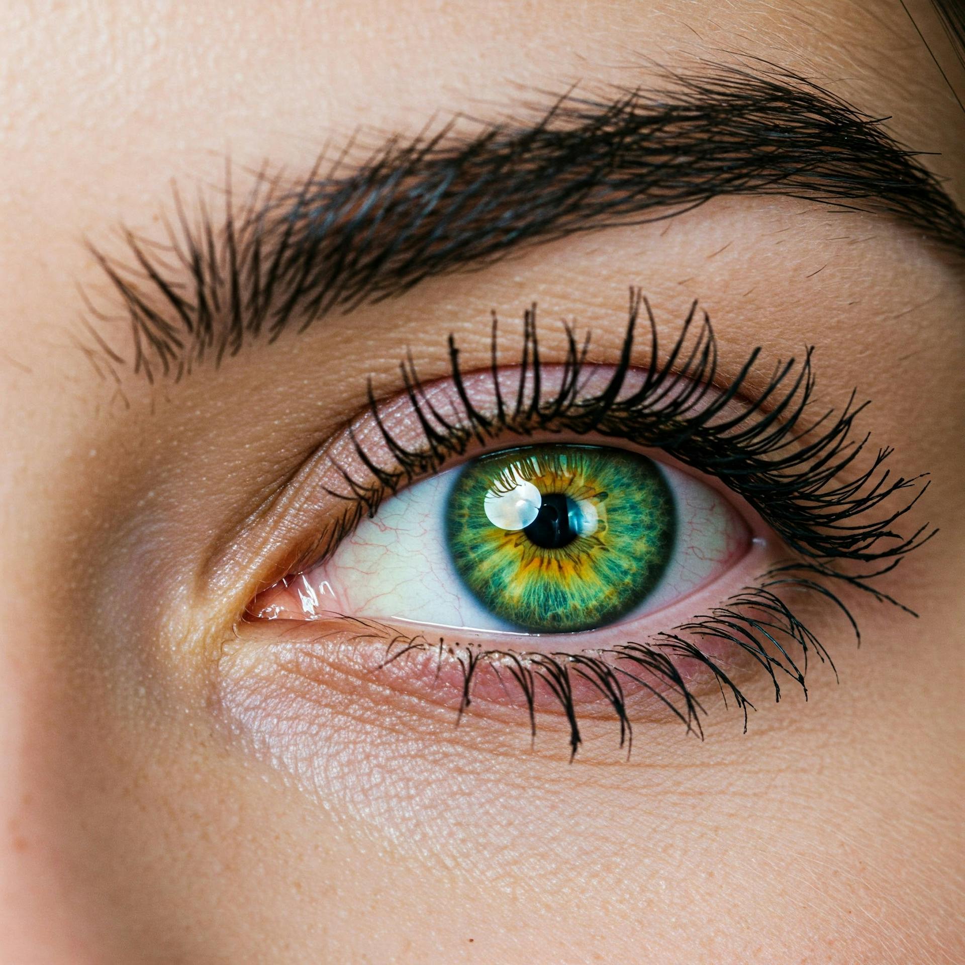Augenbrauen & Wimpern